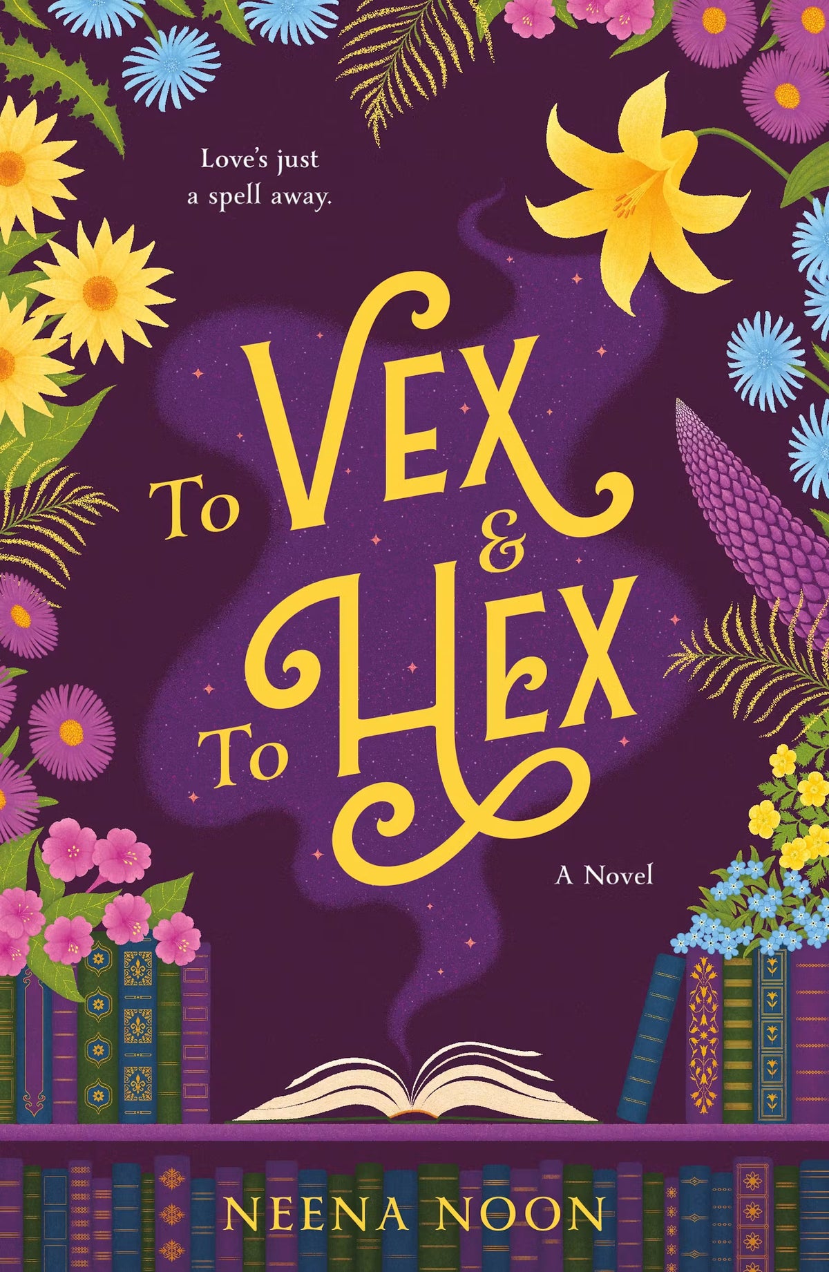 To Vex & To Hex: A Novel by Neena Noon