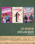 The Steam Box