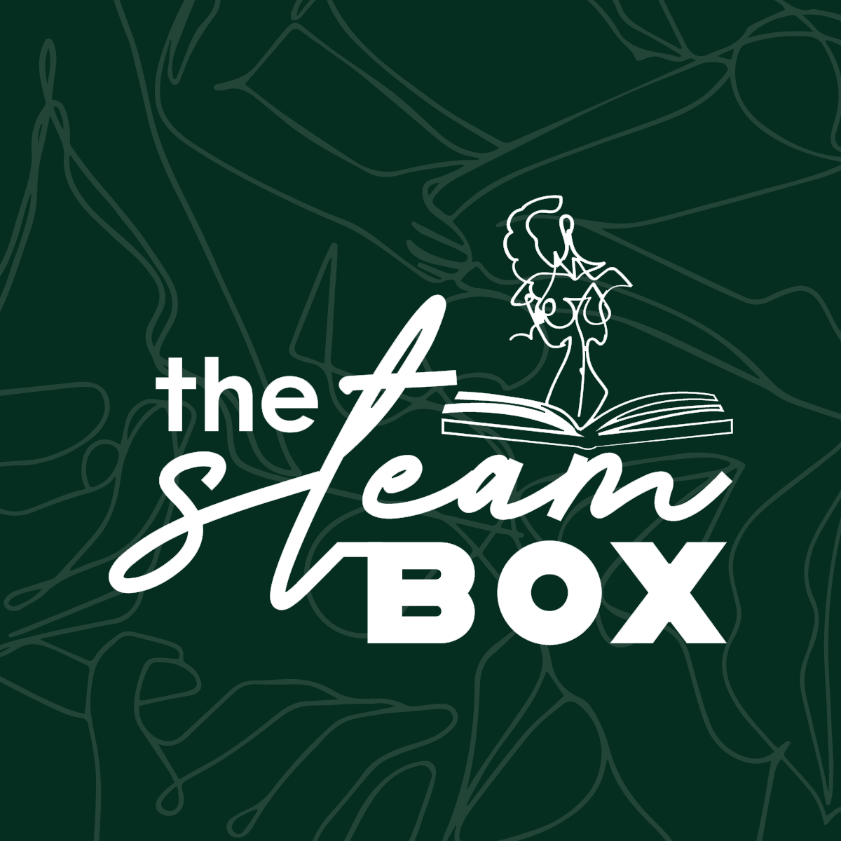 The Steam Box